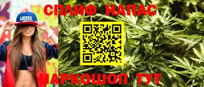 герыч Кингисепп