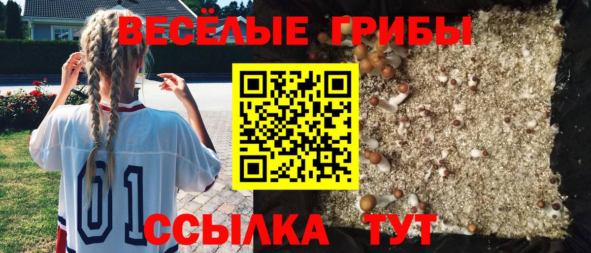 даркнет сайт  Вход с VPN  Биробиджан  Галлюциногенные грибы ЛСД 
