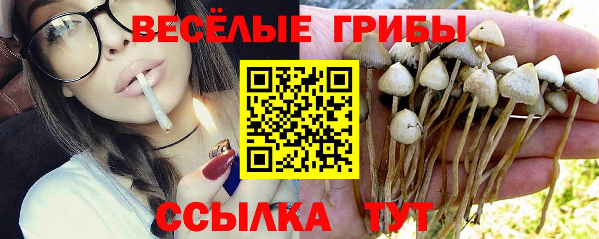 Галлюциногенные грибы мухоморы Биробиджан